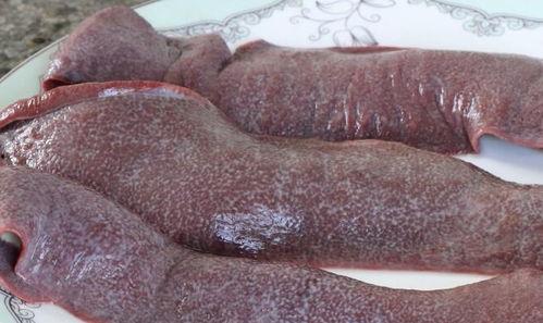 铁条虫图片,揭秘海洋中的奇异生物